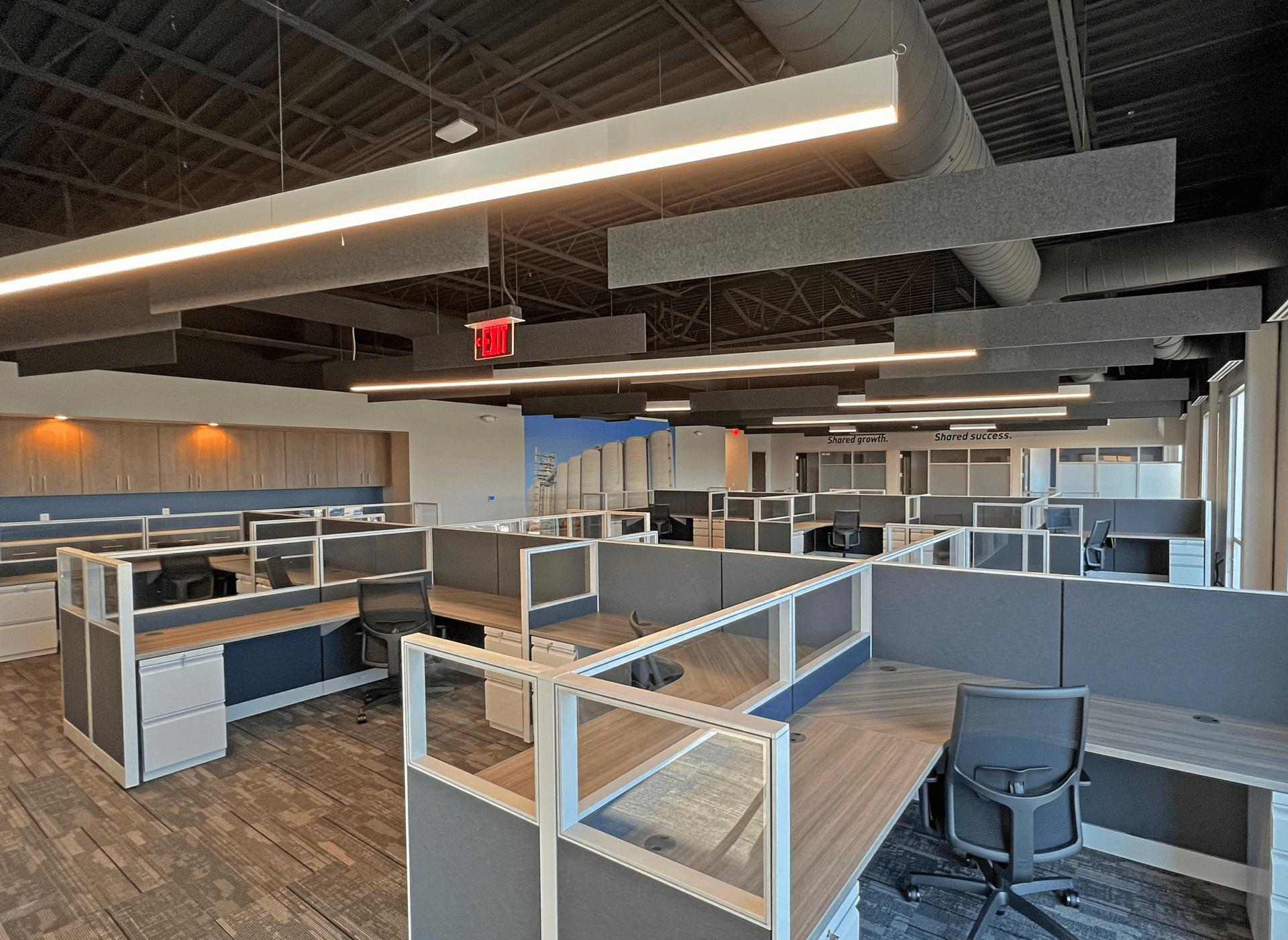 An office full of cubicles